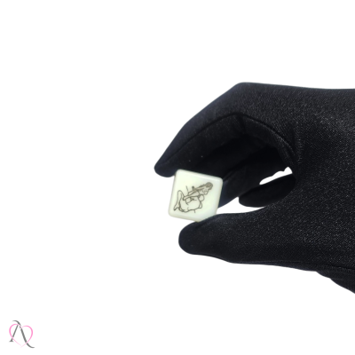 Dado Posições Hetero Brilha No Escuro 01 Unidade Sexy Fantasy Dado Posições Hetero Brilha No Escuro 01 Unidade Sexy Fantasy