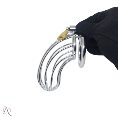 Cinto de Castidade Médio em Aço Cinto de Castidade Médio em Aço