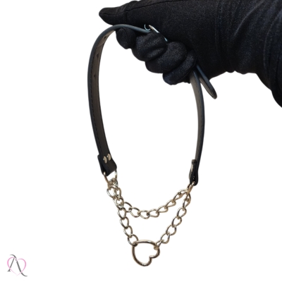 Coleira com Pingente de Coração Coleira com Pingente de Coração