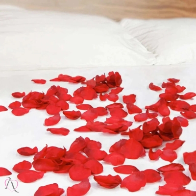 Pétalas Artificiais 100 unidades em Poliéster Pétalas Artificiais 100 unidades em Poliéster