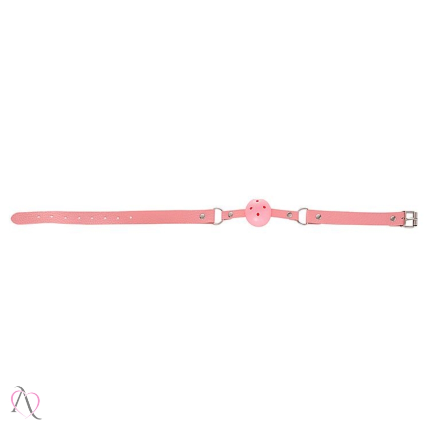 Kit Sado Erótico 10 Itens para BDSM Cor: Rosa
